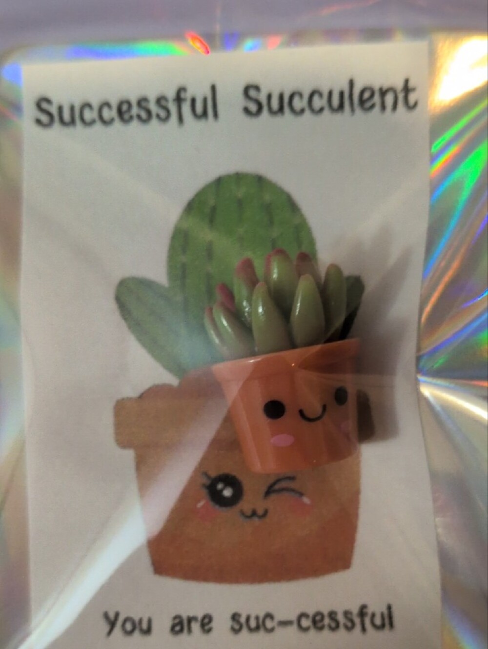 Successful Succulent Miniature - Picture 2 of 3